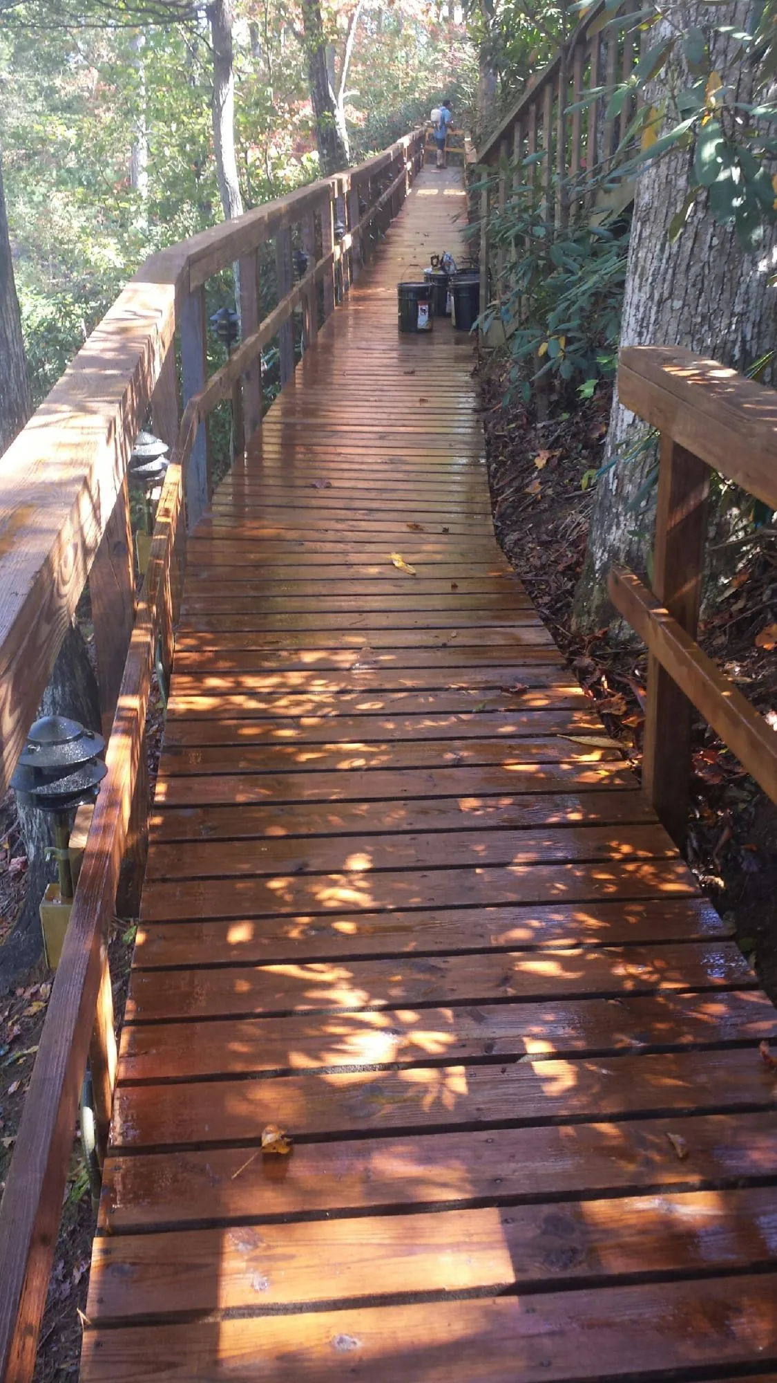 Freshly stained wood walkway winding through the woods in Atlasburg