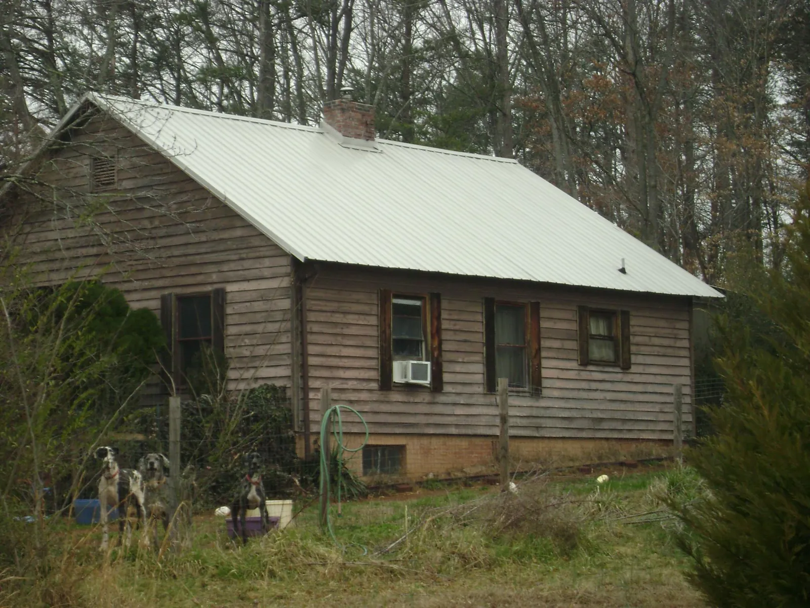 White metal roof on an old wood sided farmhouse, from a Asphalt Shingle Roof Repair job in Atlasburg